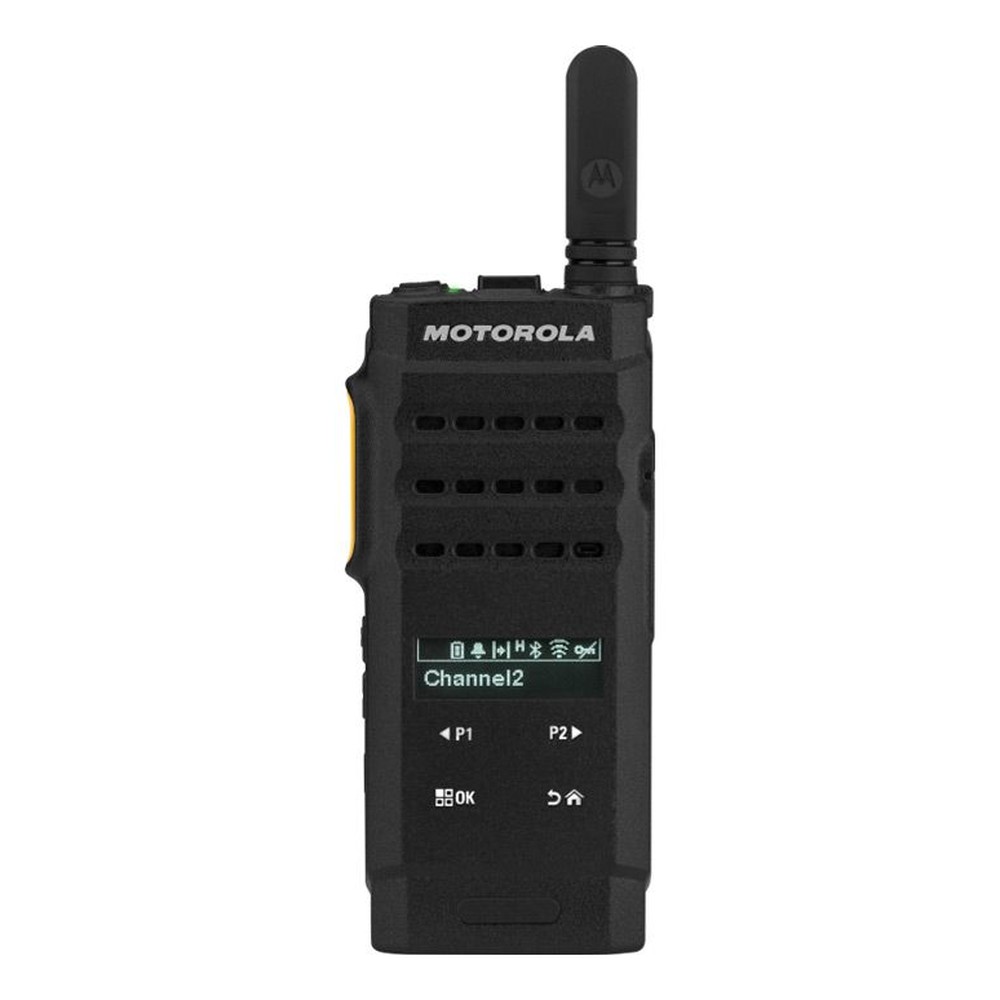 Motorola RM250 Lautsprechermikrofon